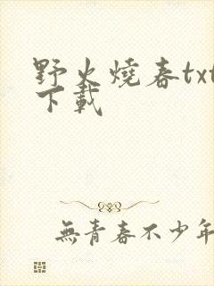 野火烧春txt下载