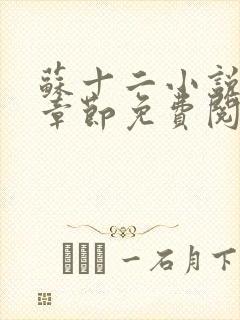 苏十二小说最新章节免费阅读全文