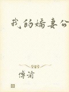 我的娇妻公务员