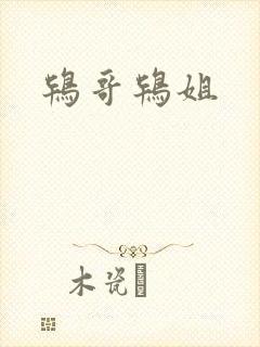 鸨哥鸨姐