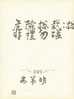 危险总裁:总裁非礼勿碰