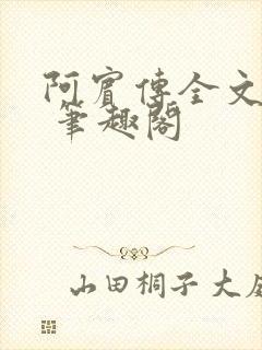 阿宾传全文阅读 笔趣阁