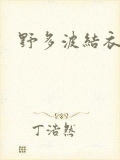 野多波结衣