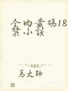 全肉黄码18无禁小说