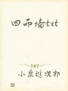 四面墙txt