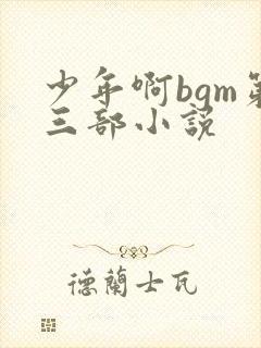 少年啊bgm第三部小说