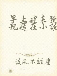 早上醒来发现巨龙还在小说