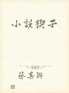 小说楔子