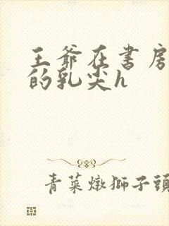 王爷在书房含她的乳尖h