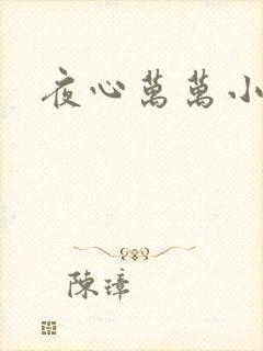 夜心万万小说