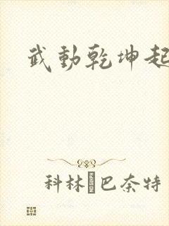 武动乾坤起点