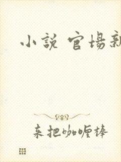 小说 官场新贵