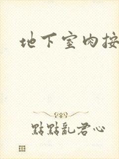 地下室肉按摩椅