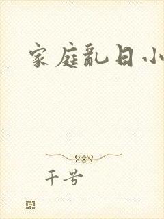 家庭乱日小说