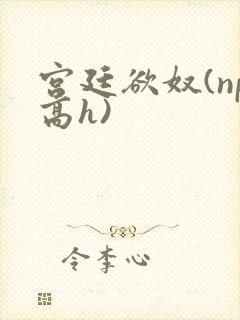 宫廷欲奴(np高h)