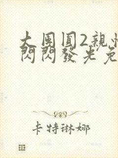 大团圆2亲情会闪闪发光免费