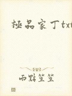 极品家丁txt