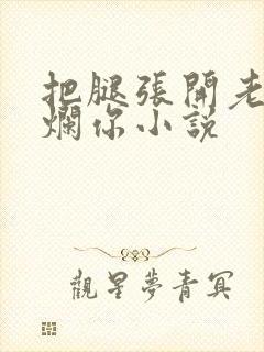 把腿张开老子臊烂你小说