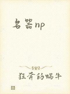 名器np