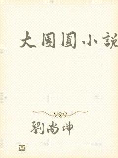 大团圆小说
