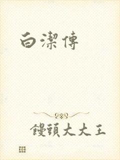 白洁传