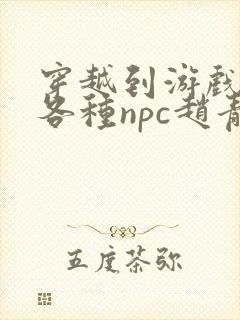 穿越到游戏里和各种npc赵青蔓