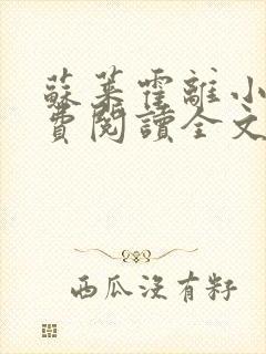 苏莱霍离小说免费阅读全文