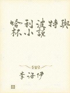 哈利波特与火焰杯小说