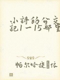 小诗的公交车日记1一15哪里能看