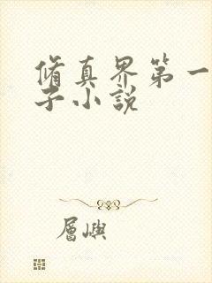 修真界第一病秧子小说