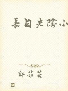 长日光阴小说