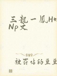 三龙一凤H啪肉Np文