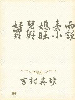 好儿媳秦雨罗明罗兴旺小说