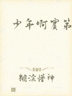 少年啊宾第二部