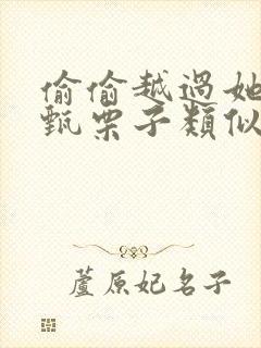 偷偷越过她by甄栗子类似小说