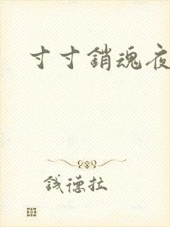 寸寸销魂夜春光