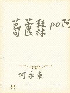 芭蕾鞋 po阿司匹林