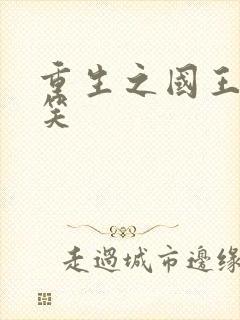 重生之国王的微笑