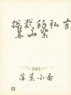 总裁的私有宝贝 暮山紫