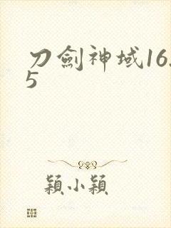 刀剑神域16.5