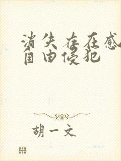 消失存在感消失自由侵犯