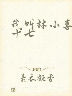我叫林小喜今年十七