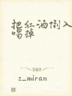 把红酒倒入b里喝掉