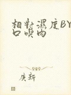 相对湿度BY大口吃肉