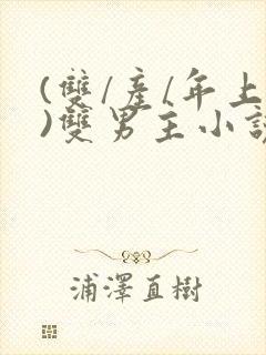 (双/产/年上)双男主小说