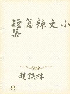 短篇辣文小说合集