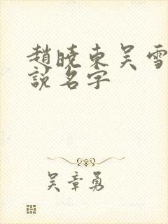 赵晓东吴雪晴小说名字