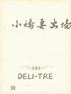 小娇妻出墙记