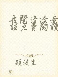 夜阑清冷意欢小说免费阅读
