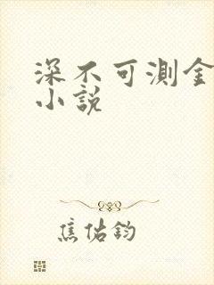 深不可测金银花小说